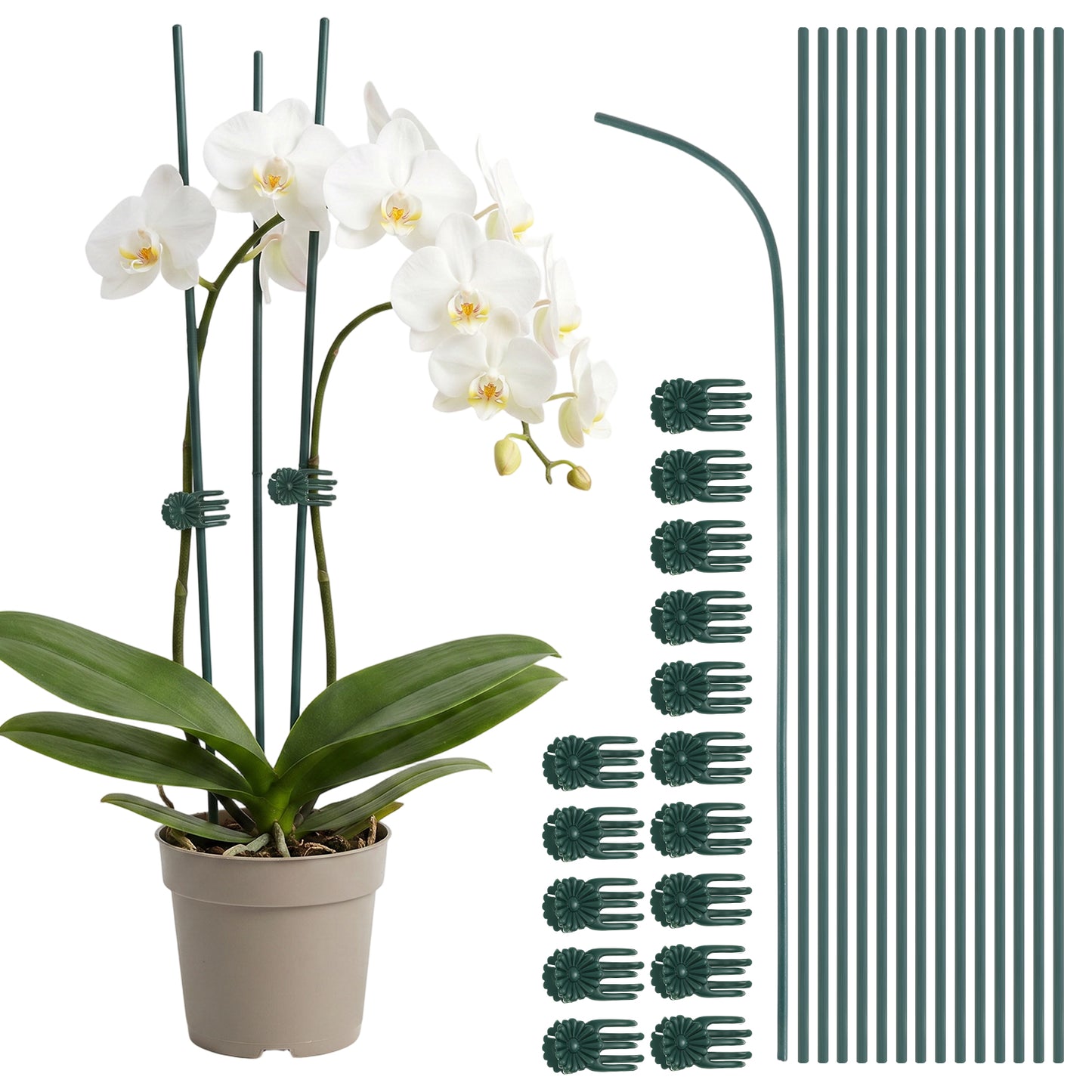 30 PCS Orchid Stakes and Clips Set, 15PCS Orchid Sticks with 15 PCS Plant Clips, 11.8 Inch Bendable Orchids Support Stakes for Tomato Rose Phalaenopsis Outdoor Indoor Plants