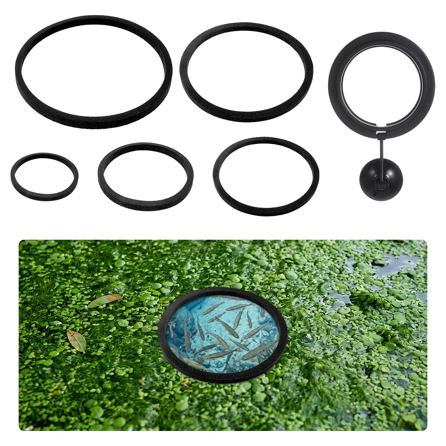 6 Pcs Fish Feeding Ring Set, 5 Sizes EVA Floating Rings for Aquarium and 1 Pcs Suction Cup Fish Feeder Ring, Black Round Floating Rings for Aquarium Betta Goldfish Guppy