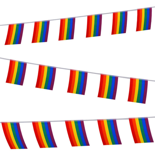 ASTER 7 Meters 25 Pcs Rainbow Gay Pride Banner Flags, Pride Bunting Banner, LGBTQ Pride String Bunting Flag for Festival Party Decoration Indoor and Outdoor (21×14 CM)