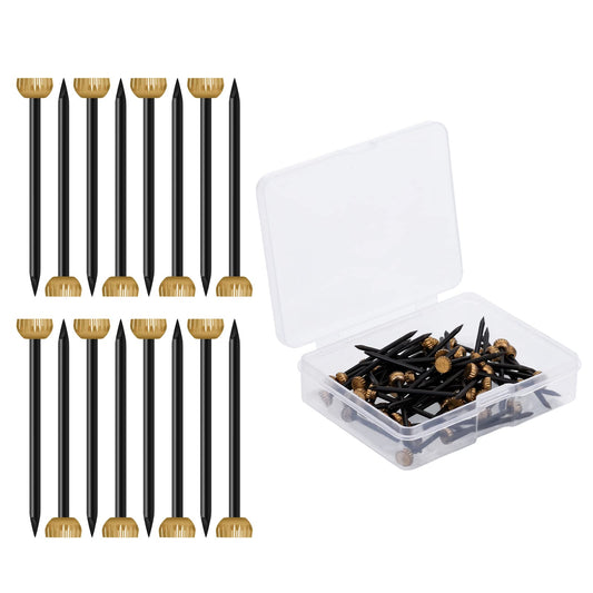 ASTER 60 Pieces Picture Hanging Nails, Frame Hangers Nails Black Steel Nails Brass Head Hangers Nails Hardware Holds with Plastic Storage Box