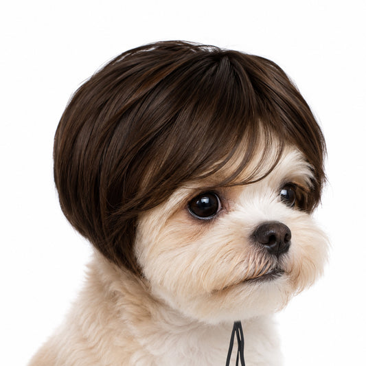 1 PCS Dog Wigs, Funny Trimmable Pet Costume Wig Dog Bob Wig Brown