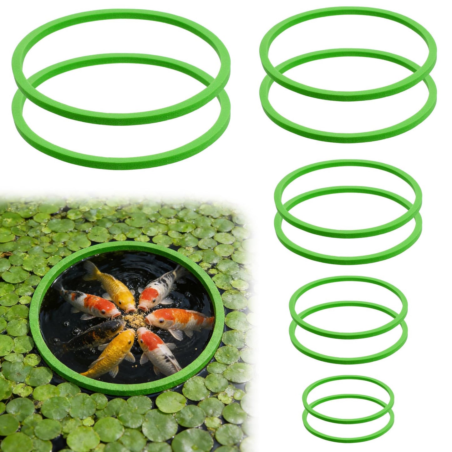 Yuomeaz 10 Pcs Fish Feeding Ring Set, 5 Sizes Floating Aquarium Feeding Ring, Round Feeder Rings Floating Plant Barrier Corral Rings Tank Accessories for Goldfish, Betta