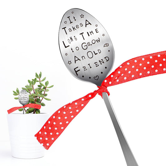 Aster Garden Marker Friendship Gift, Funny Plant Labels Silver Marker Spoon, Garden Plant Markers Friendship Gift, Creative Gift Plant Tags Spoon for Plants, Herbs, Flowers Garden Decoration(Friend)