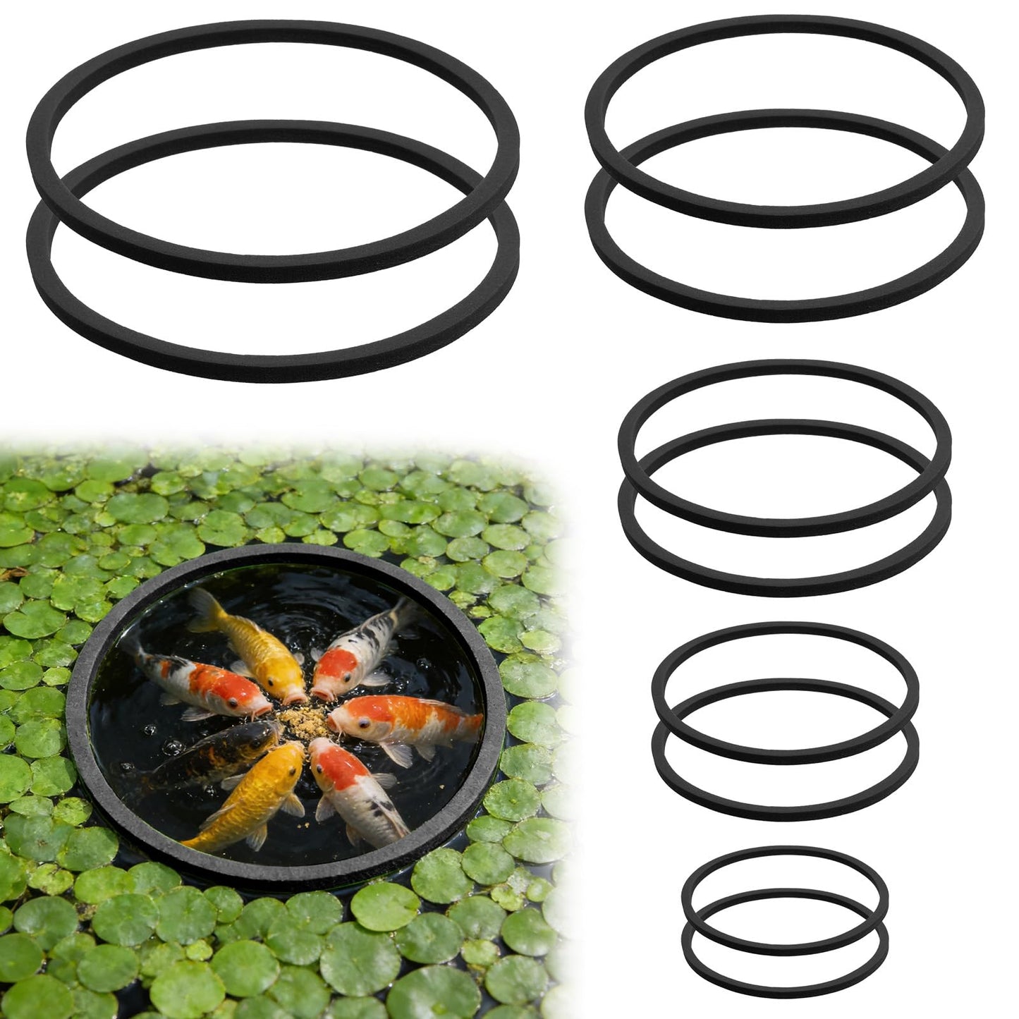 Yuomeaz 10 Pcs Fish Feeding Ring Set, 5 Sizes Floating Aquarium Feeding Ring Plant Corral, Round Feeder Rings Floating Plant Barrier Rings Tank Accessories for Goldfish, Betta