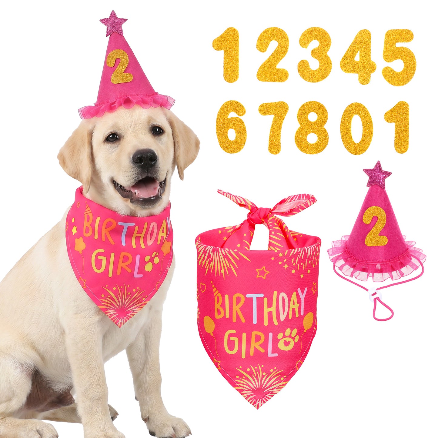 Dog Birthday Party Supplies Rose Pink Dog Bandanas Hat Bandana Numbers Birthday Girl Puppy Dogs for Large Medium Girl Pets Puppy