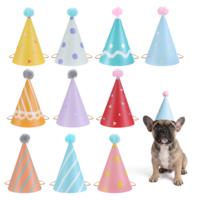 10 PCS Party Hats for Stuffed Animals, Mini Birthday Hats with Pom Poms for Cats, Dogs, Pets and Small Animals, Colorful Paper Cone Hat Party Supplies Decoration