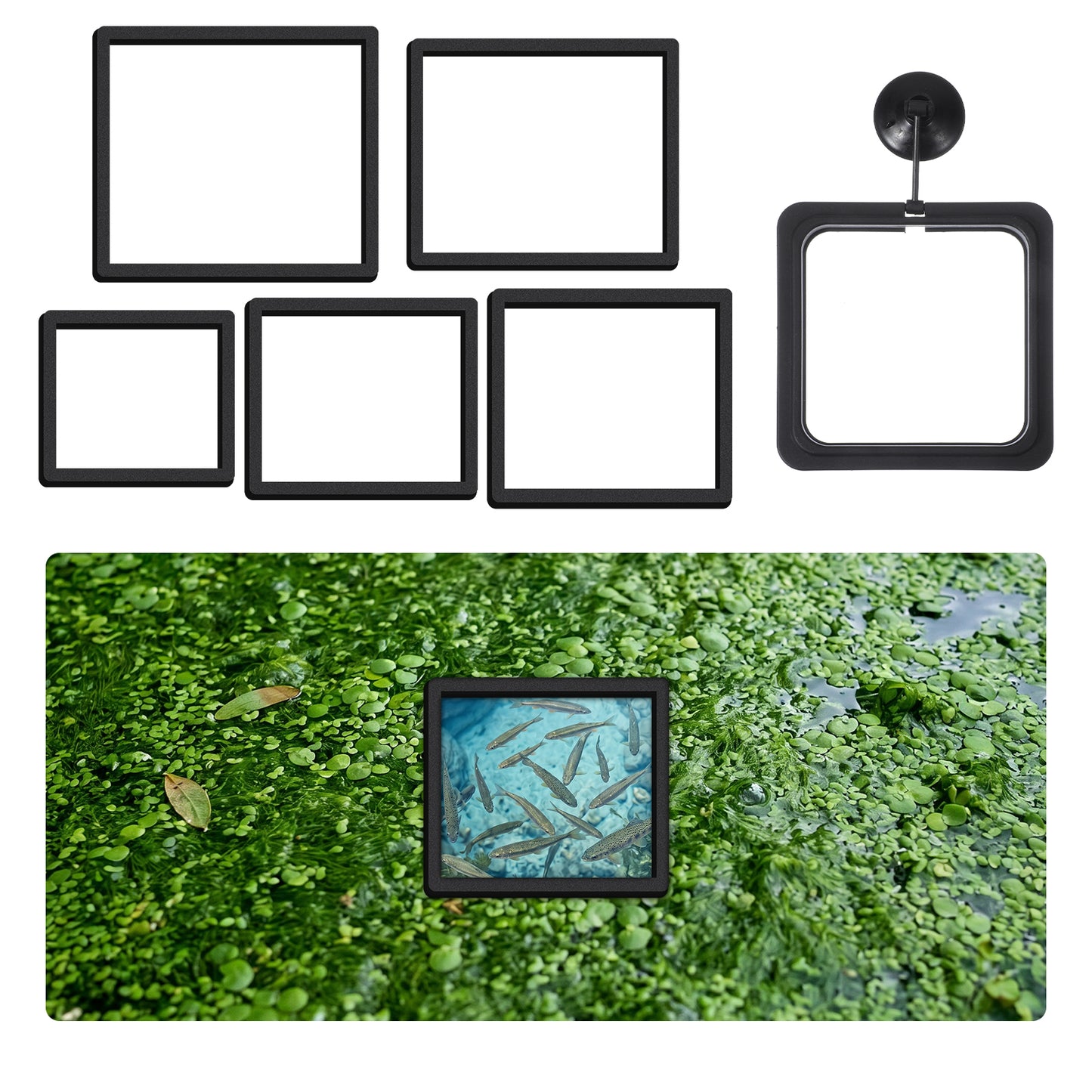 6 Pcs Fish Feeding Ring Set, 5 Sizes EVA Floating Rings for Aquarium and 1 Pcs Suction Cup Fish Feeder Ring, Black Square Floating Rings for Aquarium Betta Goldfish Guppy