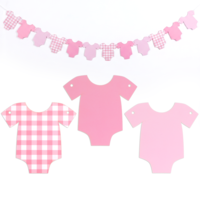 Pre-Strung Girl Pink Bodysuit Decoration Banner, Neutral Baby Shower Bunting Gender Reveal Birthday Banner for New Baby Party Decor (Pink)