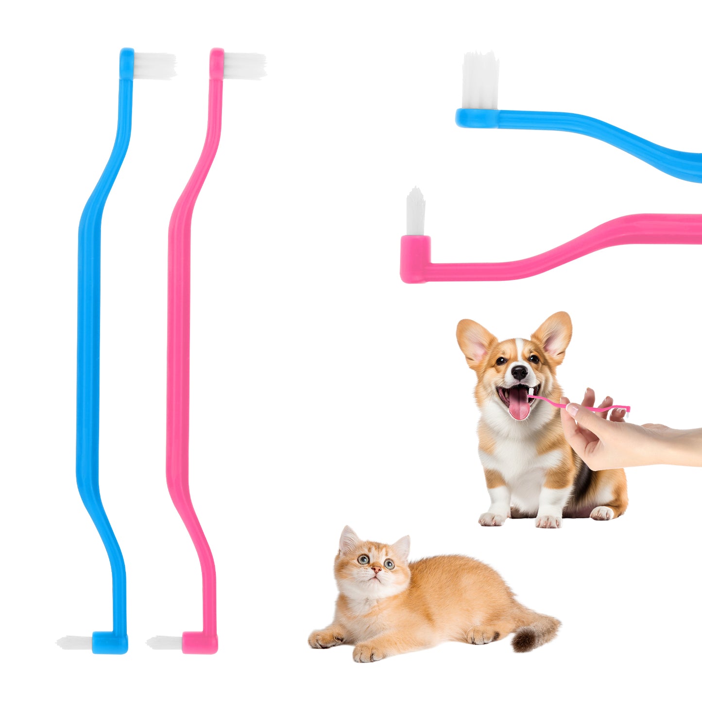 ZEYIYER 2 Pcs Dual Sided Cats & Dogs Toothbrushes, Kitten Puppy Toothbrush Pet Teeth Cleaning Brush with Micro Brush Head & Curved Handle, Doggie Toothbrush, Cat Dental Care