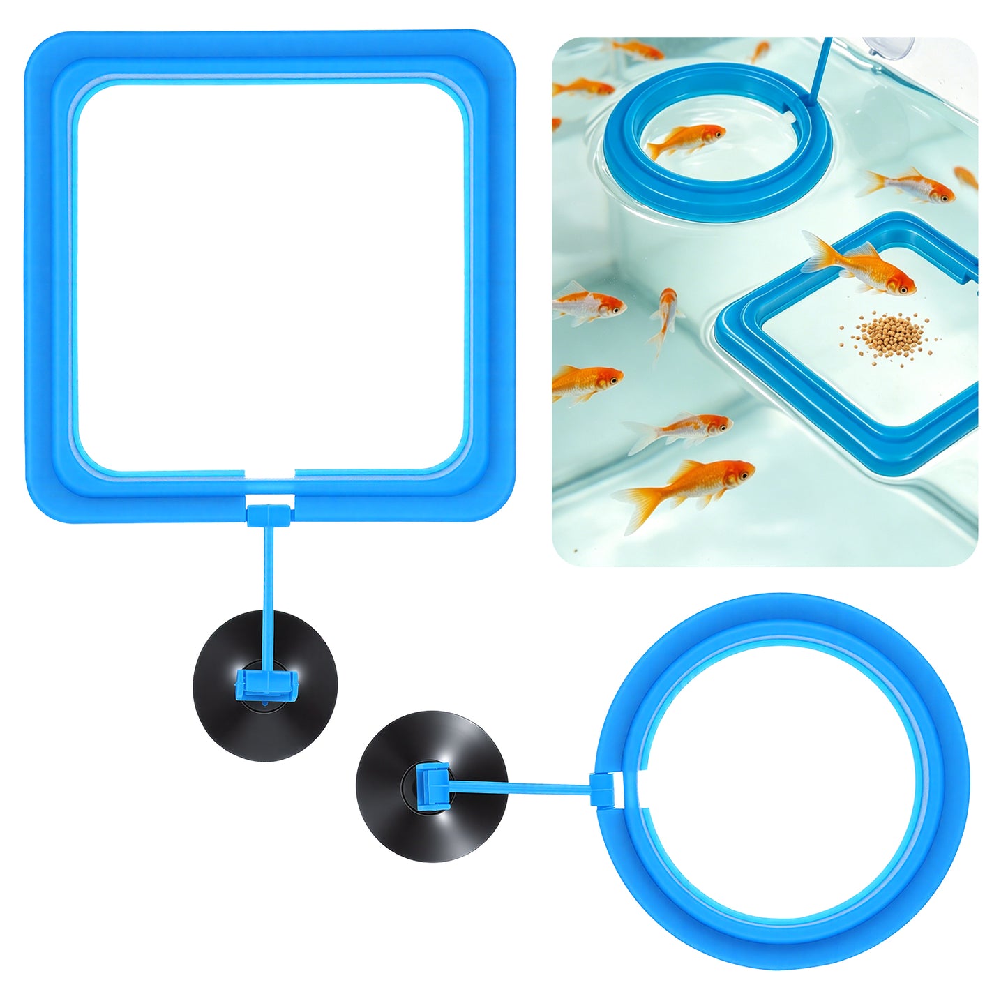 2PCS Aquarium Floating Plant Corral, EVA Fish Feeding Ring Set with Strong Suction Cup, Fish Tank Accessories for Mini Betta Tank, Floating Plants Holder|Feeder|Corral(Round + Square)(Blue)